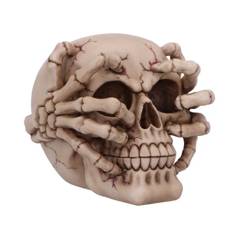 Cracked 15cm Skulls Last Chance to Buy