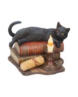 The Witching Hour (LP) 20.5cm Cats Last Chance to Buy