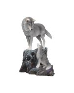 Guidance 25cm (LP) Wolves Last Chance to Buy