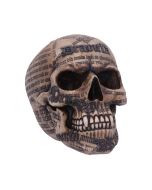 Draculas Tale 18.5cm Skulls Stock Arrivals