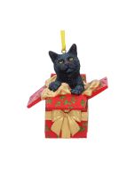 Present Cat Hanging Ornament (LP) 9cm Cats Sale Items