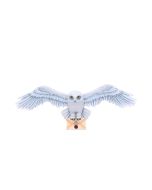 Harry Potter Hedwig Wall Plaque 45cm Owls Gifts Under £100