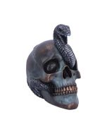Serpentine Fate 19cm Skulls Sale Items