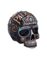 Destiny 18cm Skulls Sale Items