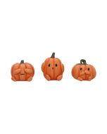 Three Wise Pumpkins 8cm Horror Halloween Party