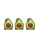 Three Wise Avocados 8.5cm Unspecified Last Chance to Buy