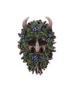 Alder 20.2cm Tree Spirits Last Chance to Buy