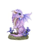 Iris Flower Dragon 12cm Dragons Last Chance to Buy