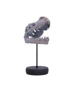 Tyrannosaurus Rex Skull on Plinth Dinosaurs Halloween Party