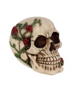 Rose From Beyond 15cm Skulls Gifts Under £100