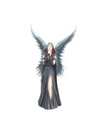 Harbinger (AS) 27cm Angels Last Chance to Buy