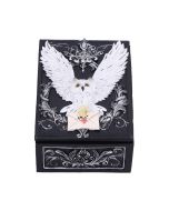 Owl Messenger Box 14cm Owls NEMESIS NOW | EASTER SALE